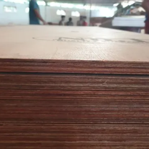 4mm Kerala Plywood 8x4 For Furniture