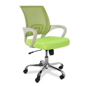 Low Back Ergonomic Office Chair