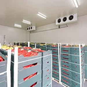 Cold Room Cold Storage